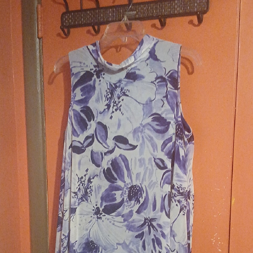 Eliza J Floral Sleeveless Dress